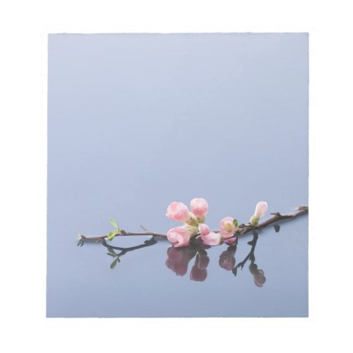 Cherry blossoms on water notepad