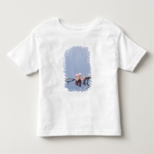 Cherry blossoms on water toddler t_shirt