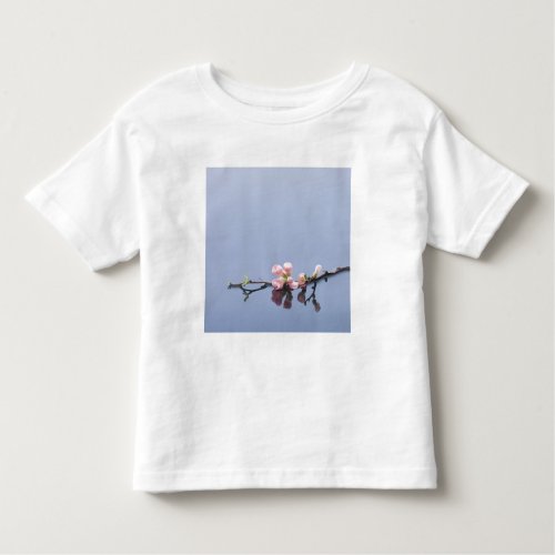 Cherry blossoms on water toddler t_shirt