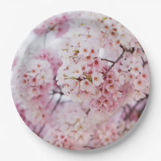 Cherry Blossoms Paper Plates