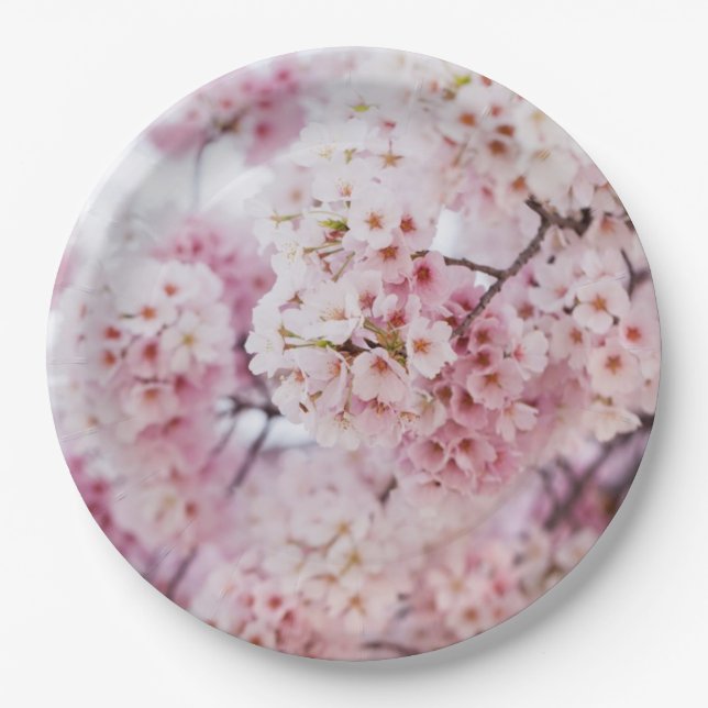 Cherry Blossoms Paper Plates (Front)