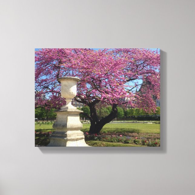 Cherry Blossoms Paris France Canvas Print (Front)