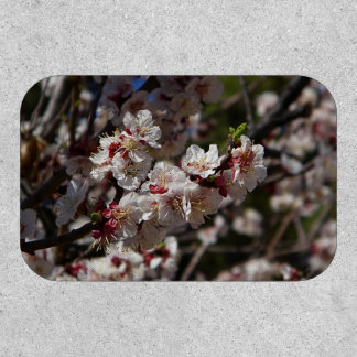 Cherry Blossoms Patch