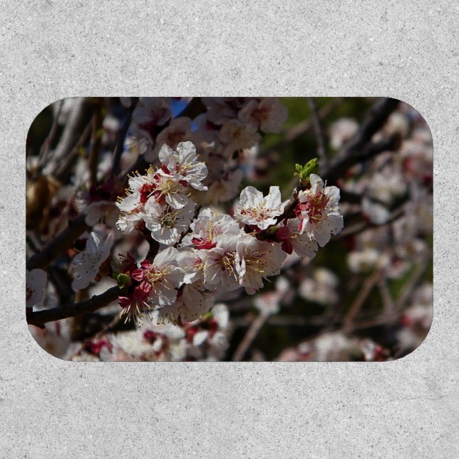 Cherry Blossoms Patch (Front)