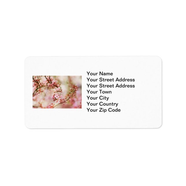 Cherry Blossoms Photo Label (Front)