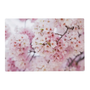Cherry Blossoms Placemat