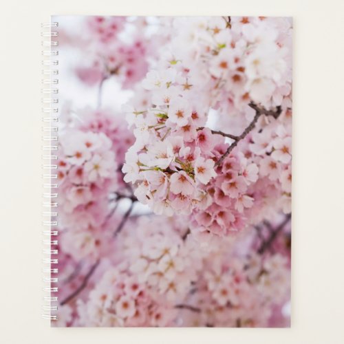 Cherry Blossoms Planner