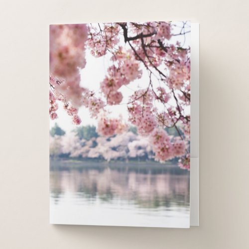 Cherry Blossoms Pocket Folder