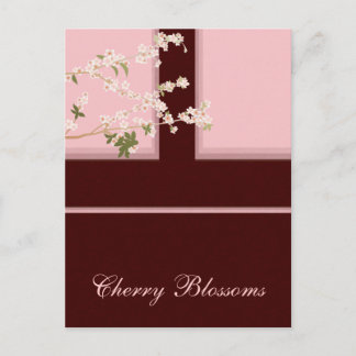 Cherry Blossoms Postcard