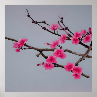 Cherry Blossoms Poster