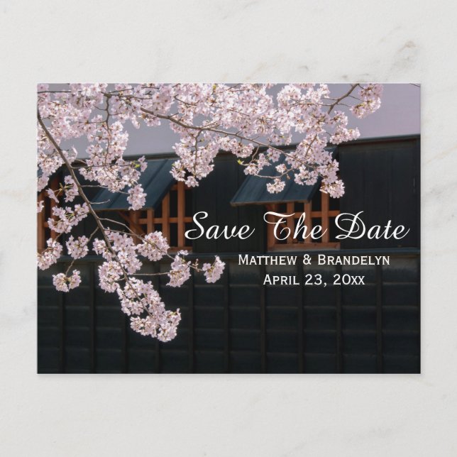Cherry Blossoms Save The Date Wedding Post Card (Front)