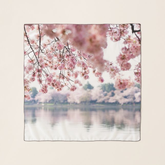 Cherry Blossoms Scarf (Front)