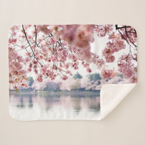 Cherry Blossoms Sherpa Blanket