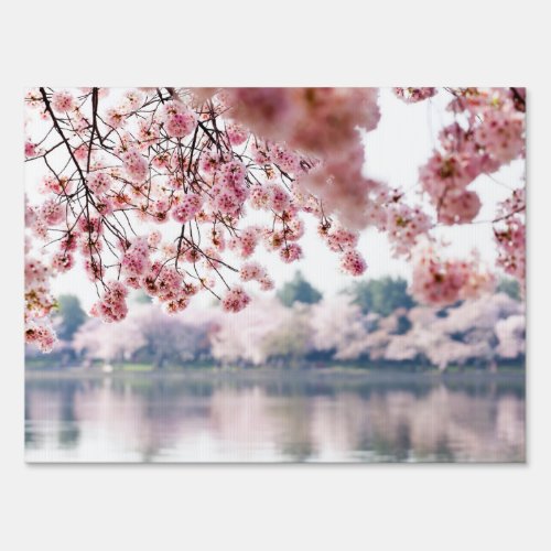 Cherry Blossoms Sign