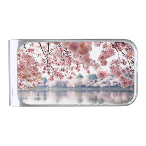 Cherry Blossoms Silver Finish Money Clip