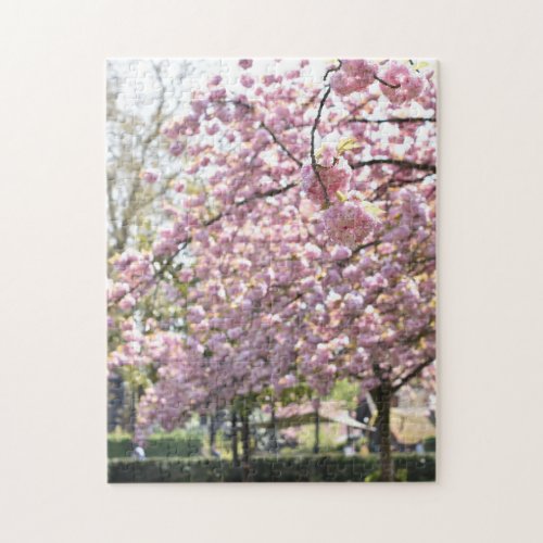 Cherry Blossoms Spring in London United Kingdom Jigsaw Puzzle