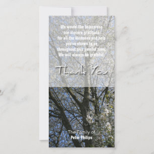Cherry Blossoms Sympathy Thank You photo card