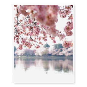 Cherry Blossoms Temporary Tattoos