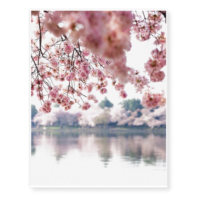 Cherry Blossoms Temporary Tattoos (Front)