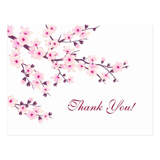 Cherry Blossoms Thank You Floral Postcard | Zazzle.com