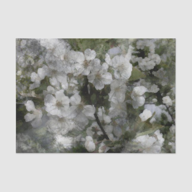 Cherry blossoms Tissue Paper (Front)