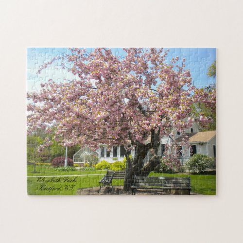 Cherry Blossoms Tree Elizabeth Park Hartford CT Jigsaw Puzzle
