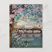 Cherry Blossoms Vintage Postcard