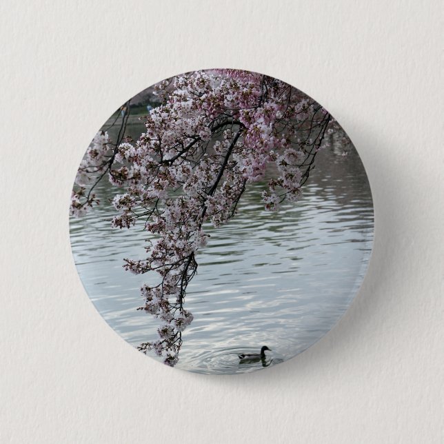 Cherry Blossoms Washington DC Button (Front)