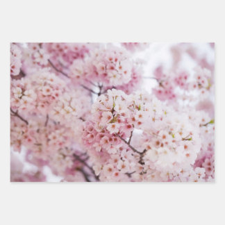 Cherry Blossoms Wrapping Paper Sheets