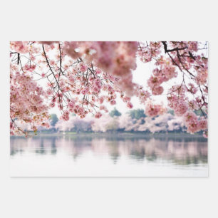 Cherry Blossoms Wrapping Paper Sheets