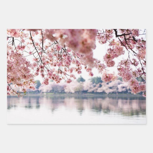 Cherry Blossoms Wrapping Paper Sheets (Front)