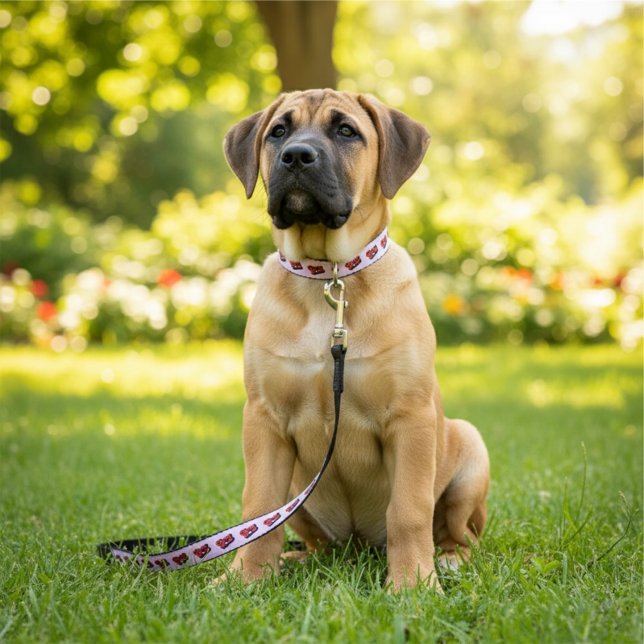 Cherry Bomb Pet Leash (Creator Uploaded)