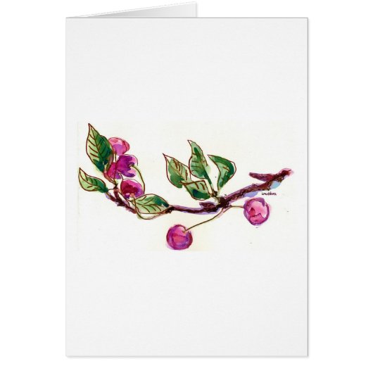 Cherry Branch Cards (Front)
