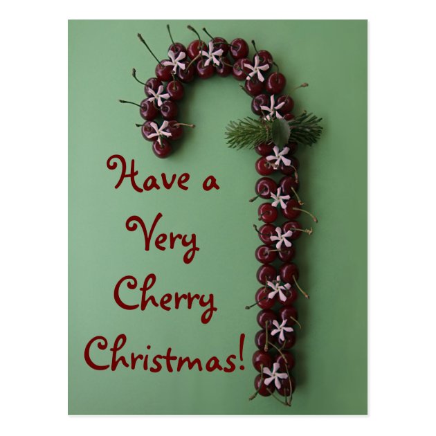 Cherry Christmas Postcard