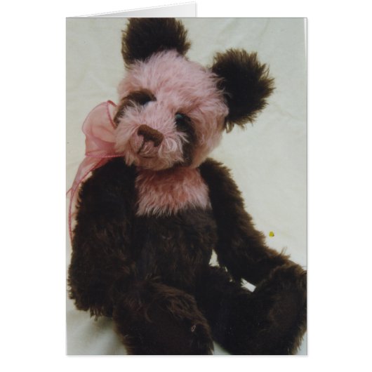 Cherry Cola the Teddy Bear Cards (Front)