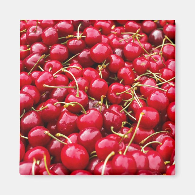 Cherry Galore Magnet (Front)