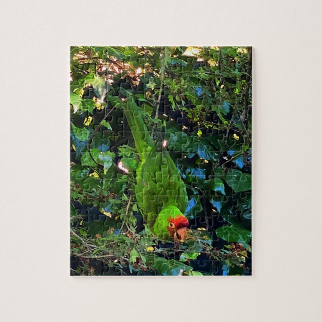 Cherry Headed Conure #1 Jigsaw Puzzle (Vertical)