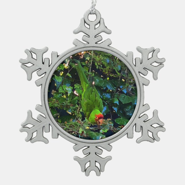 Cherry Headed Conure #1 Snowflake Ornament (Front)