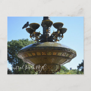 Cherry Hill Fountain Central Park NYC Photography Postcard
