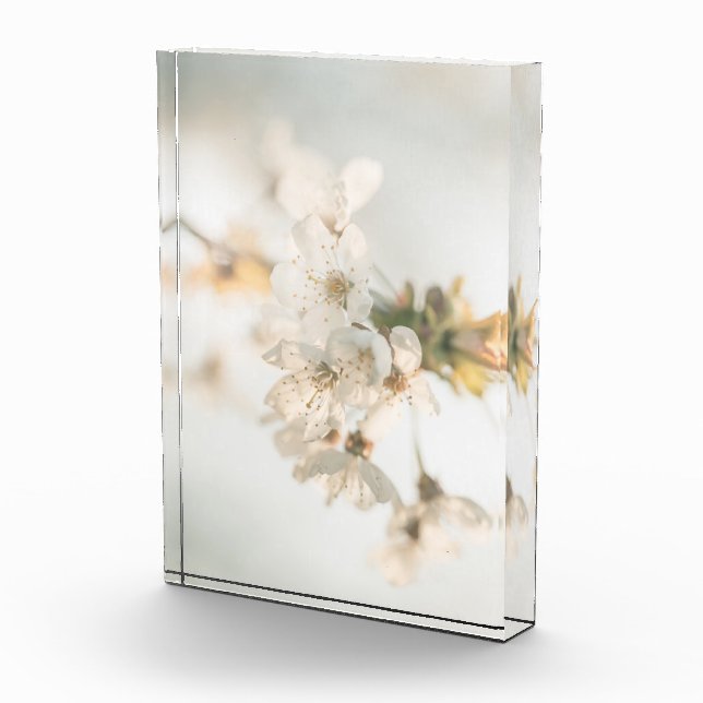 Cherry Nature Photo Block (Right)