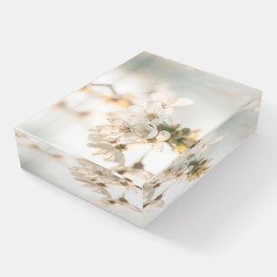 Cherry Nature Photo Paperweight