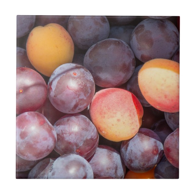 Cherry plum background ceramic tile (Front)