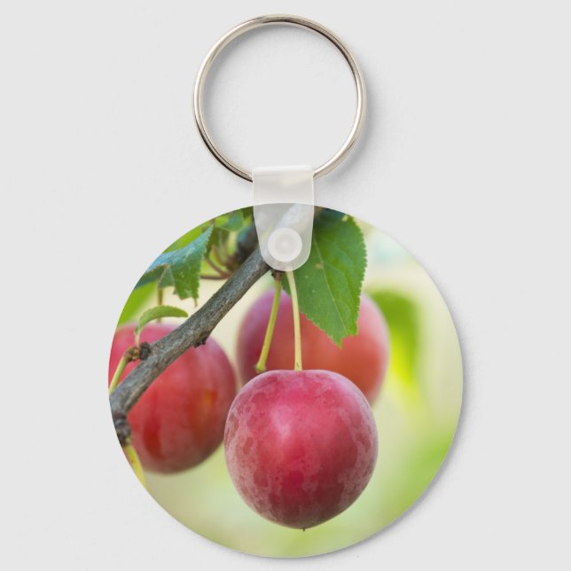 Cherry plum on branch keychain (Front)