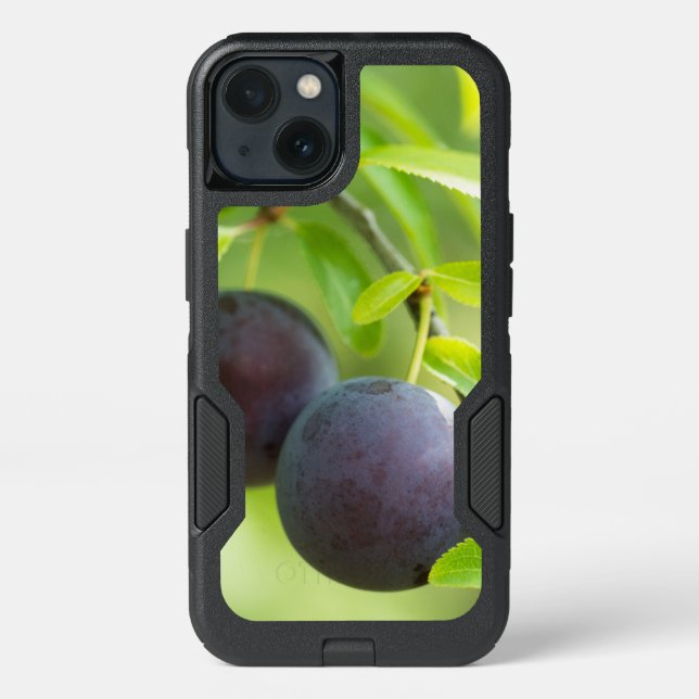 Cherry plum on branch otterbox iPhone case (Back)