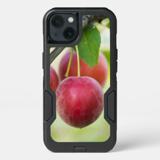 Cherry plum on branch iPhone 13 case