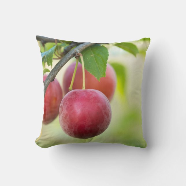 Cherry plum on branch throw pillow (Front)