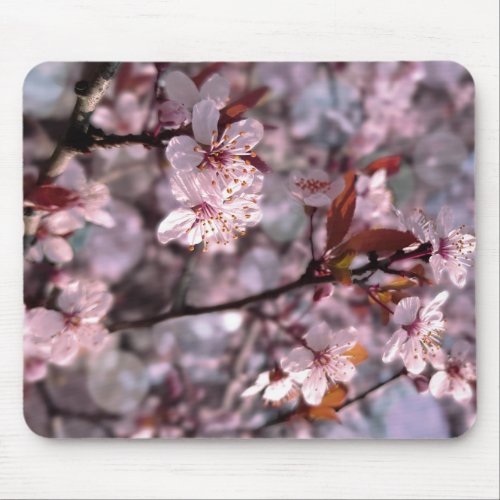 Cherry Plum Tree Pink Mouse Pad