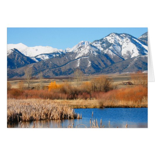 Cherry River by Cynthia Wenslow (Front Horizontal)