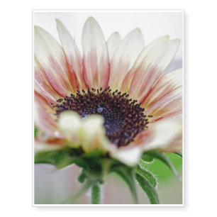 Cherry Rose Sunflower Temporary Tattoos