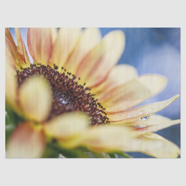 Cherry Rose Sunflower Tissue Paper (Front)